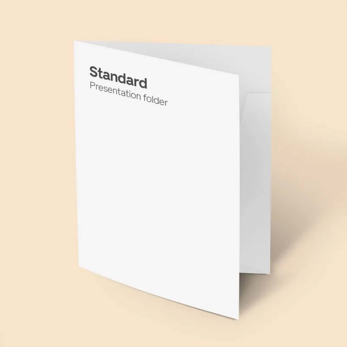 Blank Presentation Folders view 5