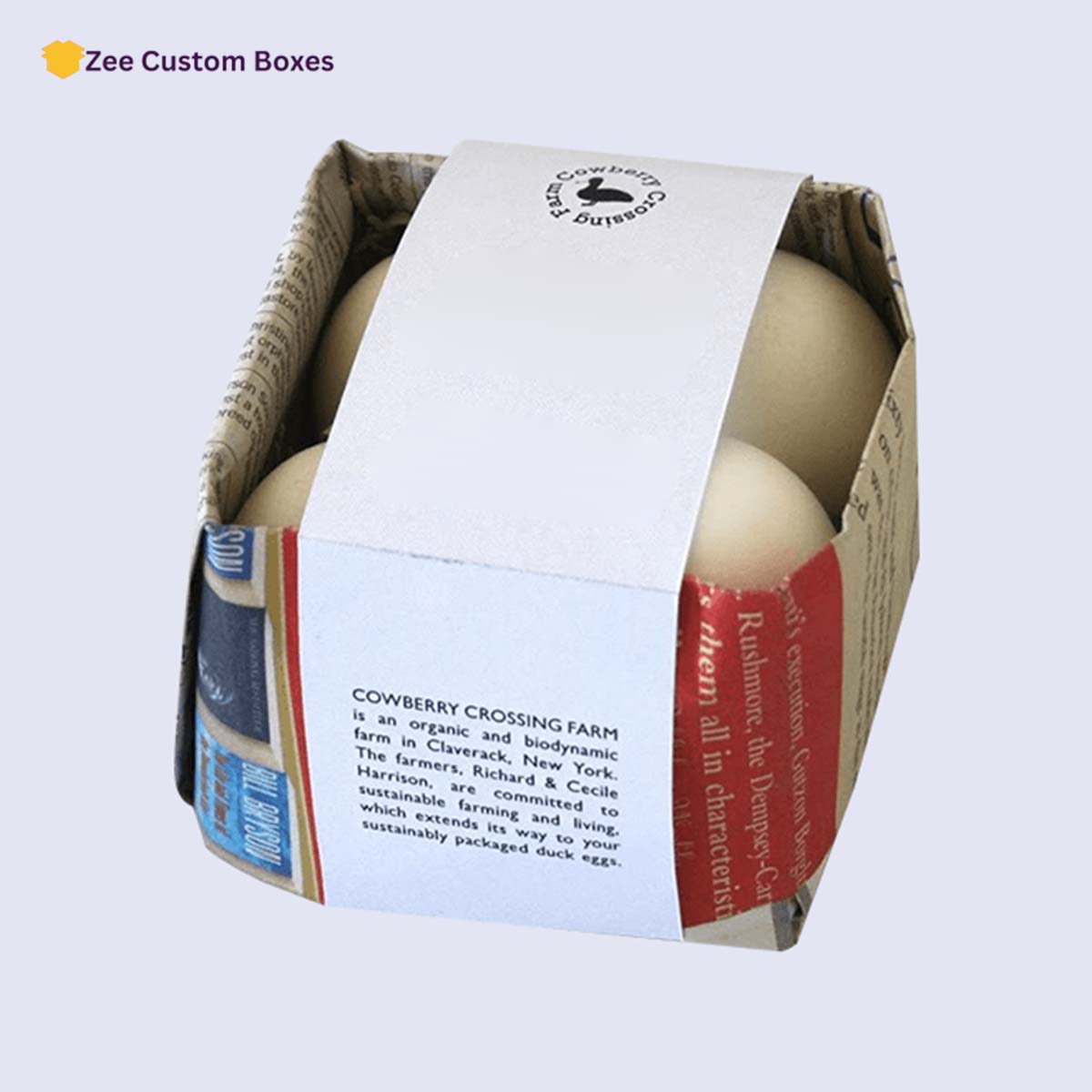 Cardboard Sleeve Packaging view 3
