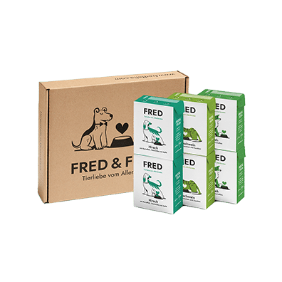 Custom Pet Packaging view 3