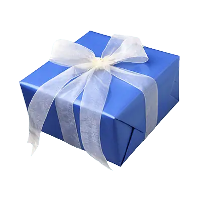 Custom Ribbon Boxes view 2