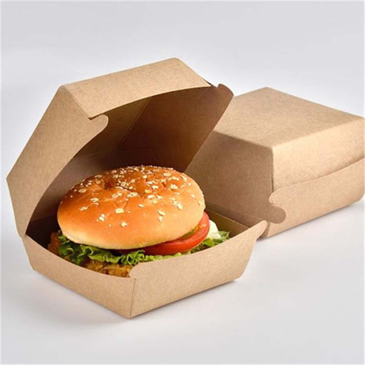 Fast Food Boxes view 3