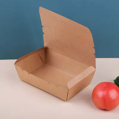 Fast Food Boxes view 4