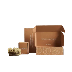 Let's Make Cardboard Boxes To Order